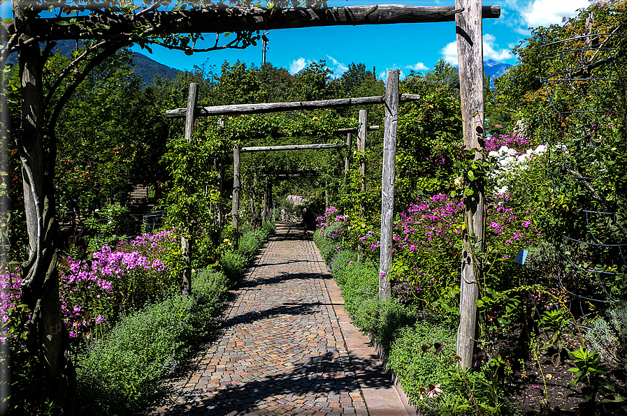 foto Giardini Trauttmansdorff - Paesaggi dell'Alto Adige